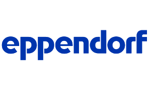 Logo 6
